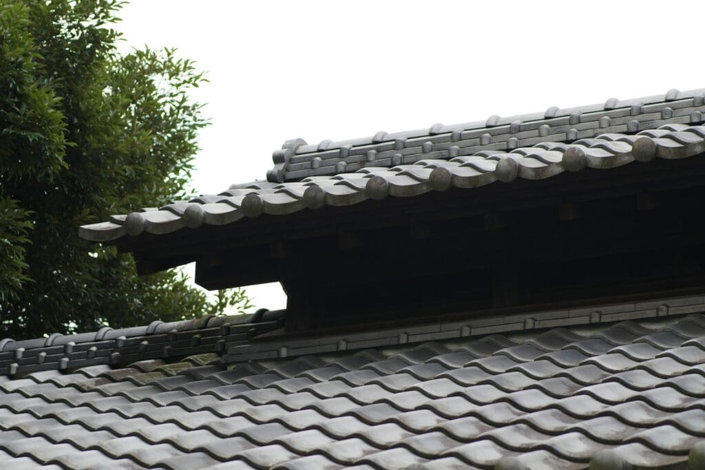 Spring Roof Damage